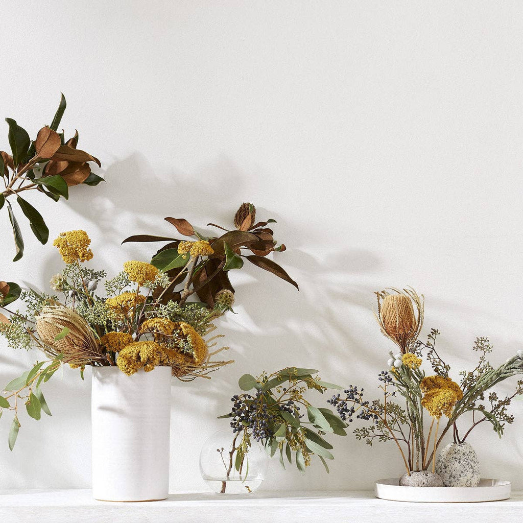 Set of Three Dried Natural Banksia