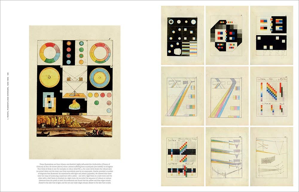 Anatomy of Color