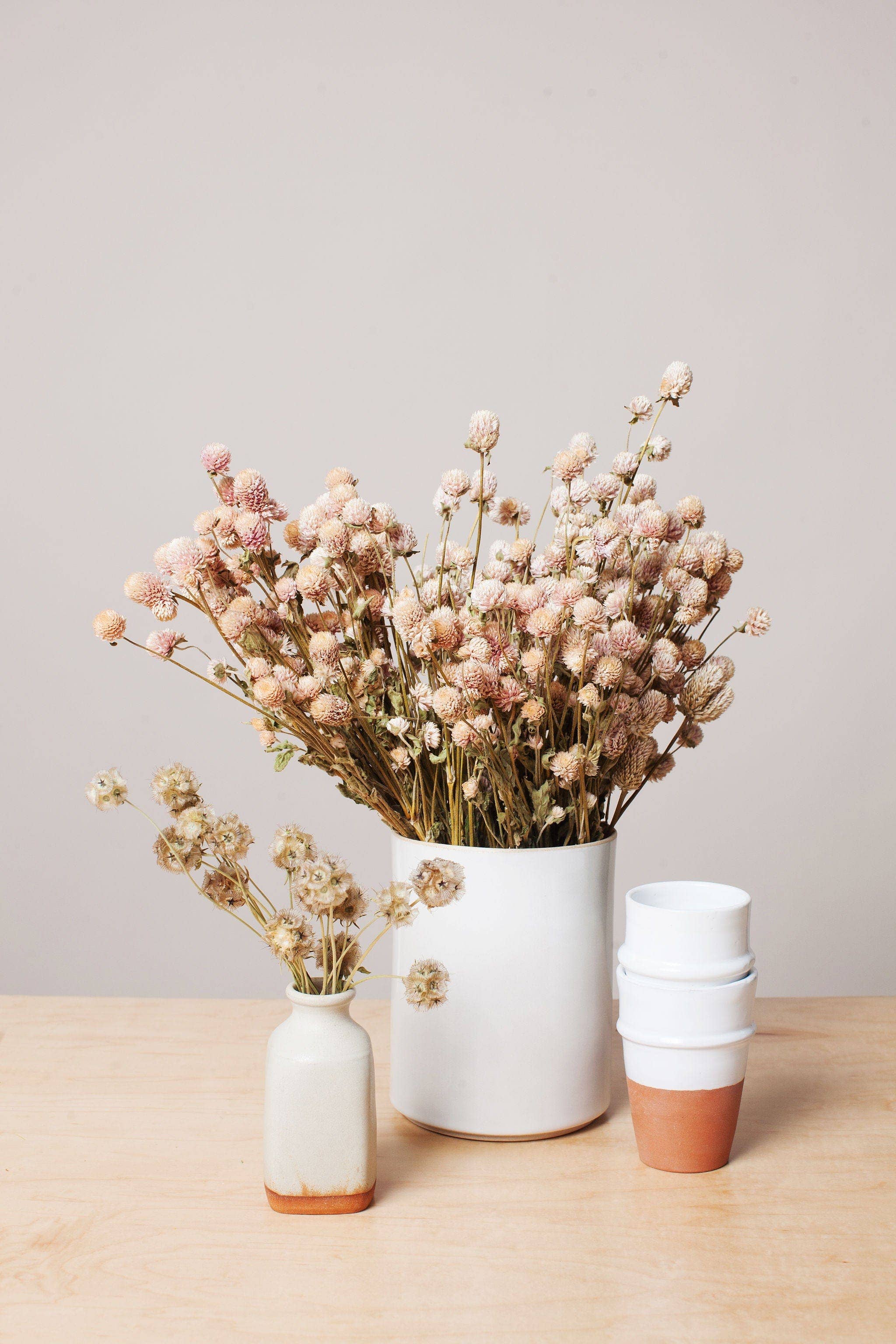 Dried Blush Globe Amaranth